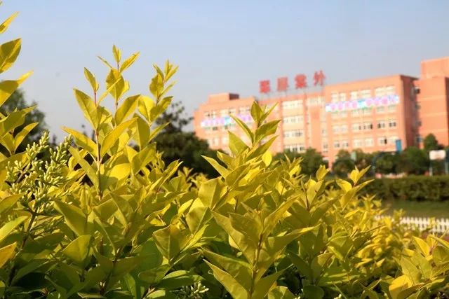 翠外春色关不住,学子妙笔绘春来-宜宾市翠屏区棠湖学校